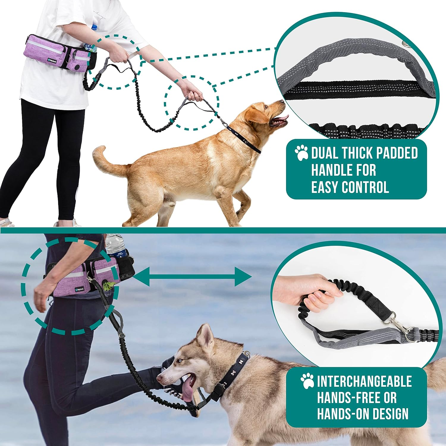 Petami Hands Free Dog Leash, Running Leash Belt Bag for Walking, Jogging, Waist Double Zipper Pouch with Poop Dispenser, Dual Padded Handles Reflective Bungee Double, Purple, 2 Leashes image number 4