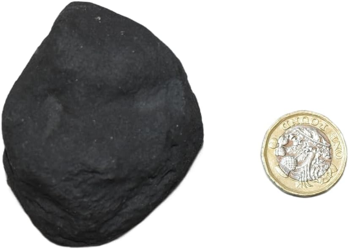 Gas Fire Replacement Charcoal Ceramic Small Cast Coals Bio Fuels Ceramic Packed in 279 Pieces in Coal 4 You Packaging image number 6