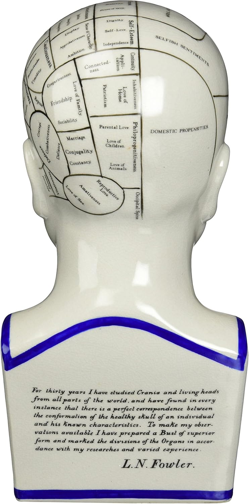 Design Toscano Inc 12H In. Porcelain Phrenology Head Statue [Kitchen] image number 5