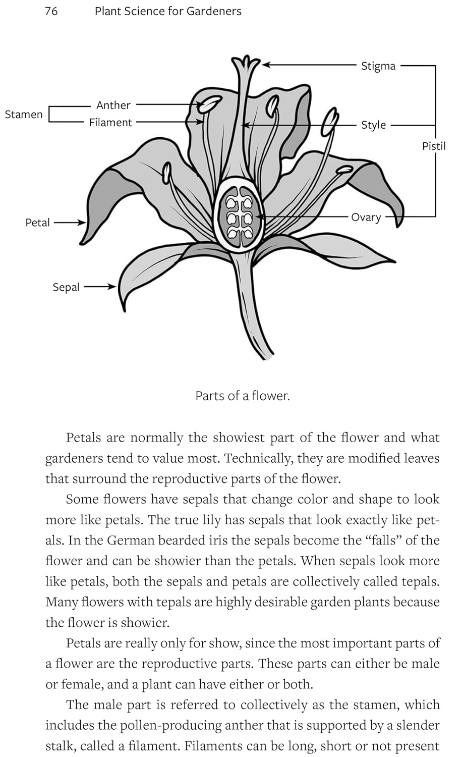 Plant Science for Gardeners: Essentials for Growing Better Plants: 2