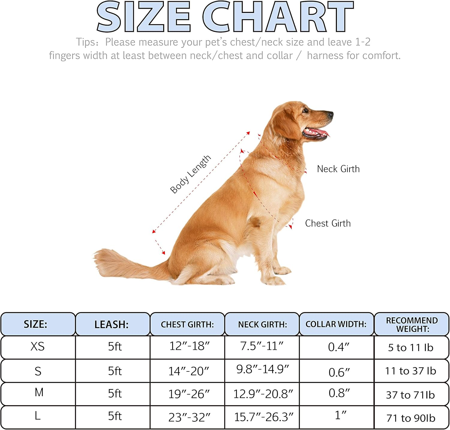 Dog Harness Collar Leash Set - No Pull Pet Adjustable Back Clip Halter Basic Collar Heavy Duty 5FT Anti-Twist Leash for Extra Small Puppy Medium Large Breed Training Running (Daisy, S) image number 2