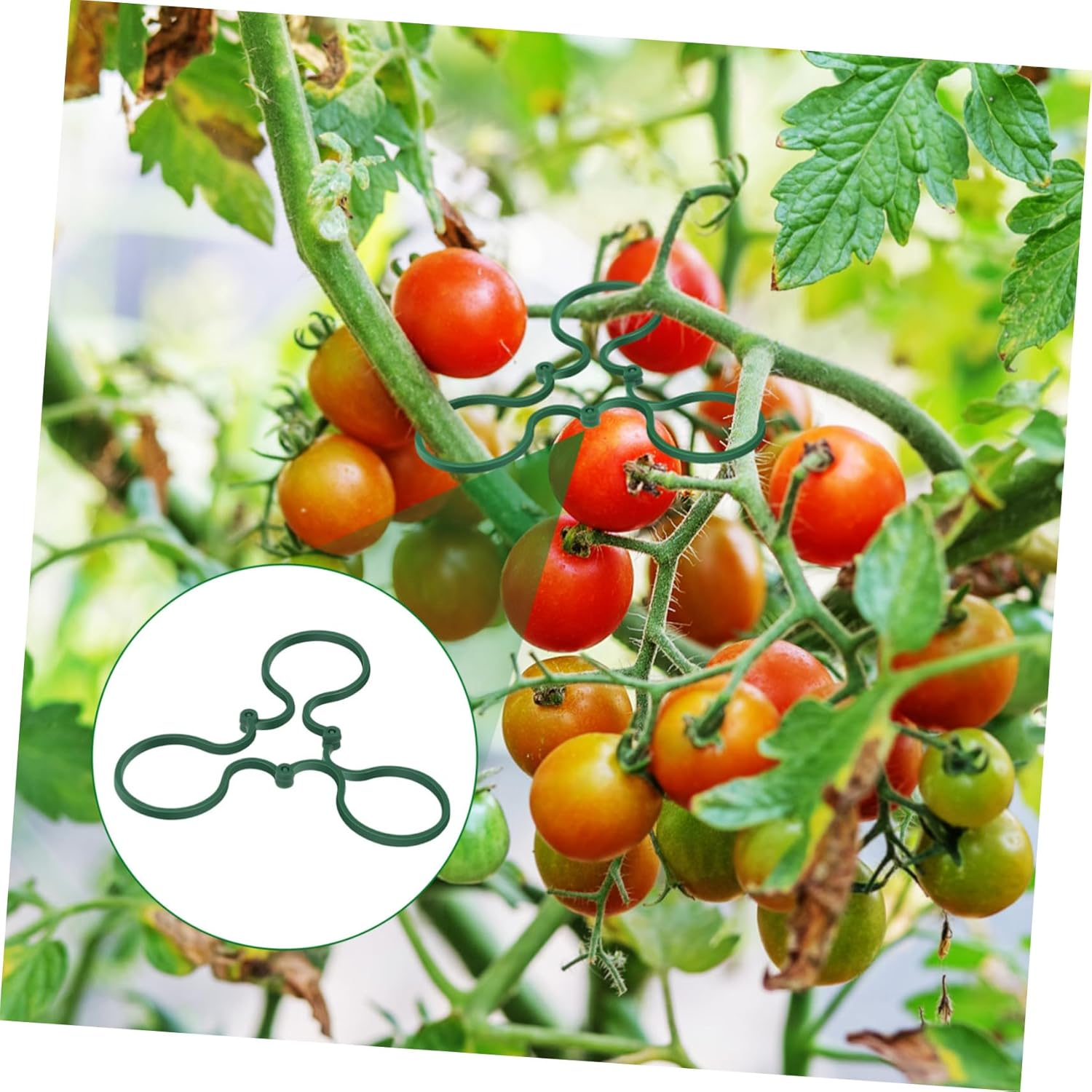 100Pcs Small Plant Support Clips Garden Tie Tomato Vine Trellis Clips for Climbing Plants and Vegetable Stems Gardening Supplies image number 5