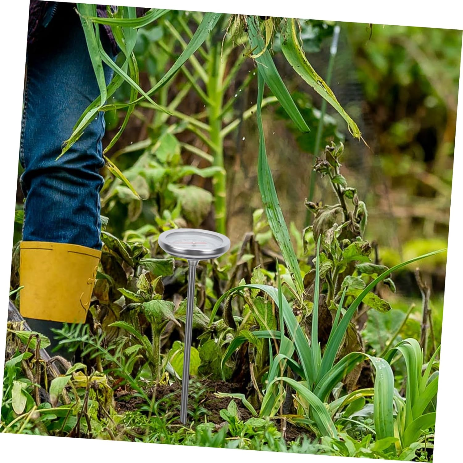 Ifundom Stainless Steel Compost Thermometer Probe for Soil Temperature Measuring Tool Gardening Use Accurate Gauge with Scale Lightweight and Practical Temperature Range C to C image number 5