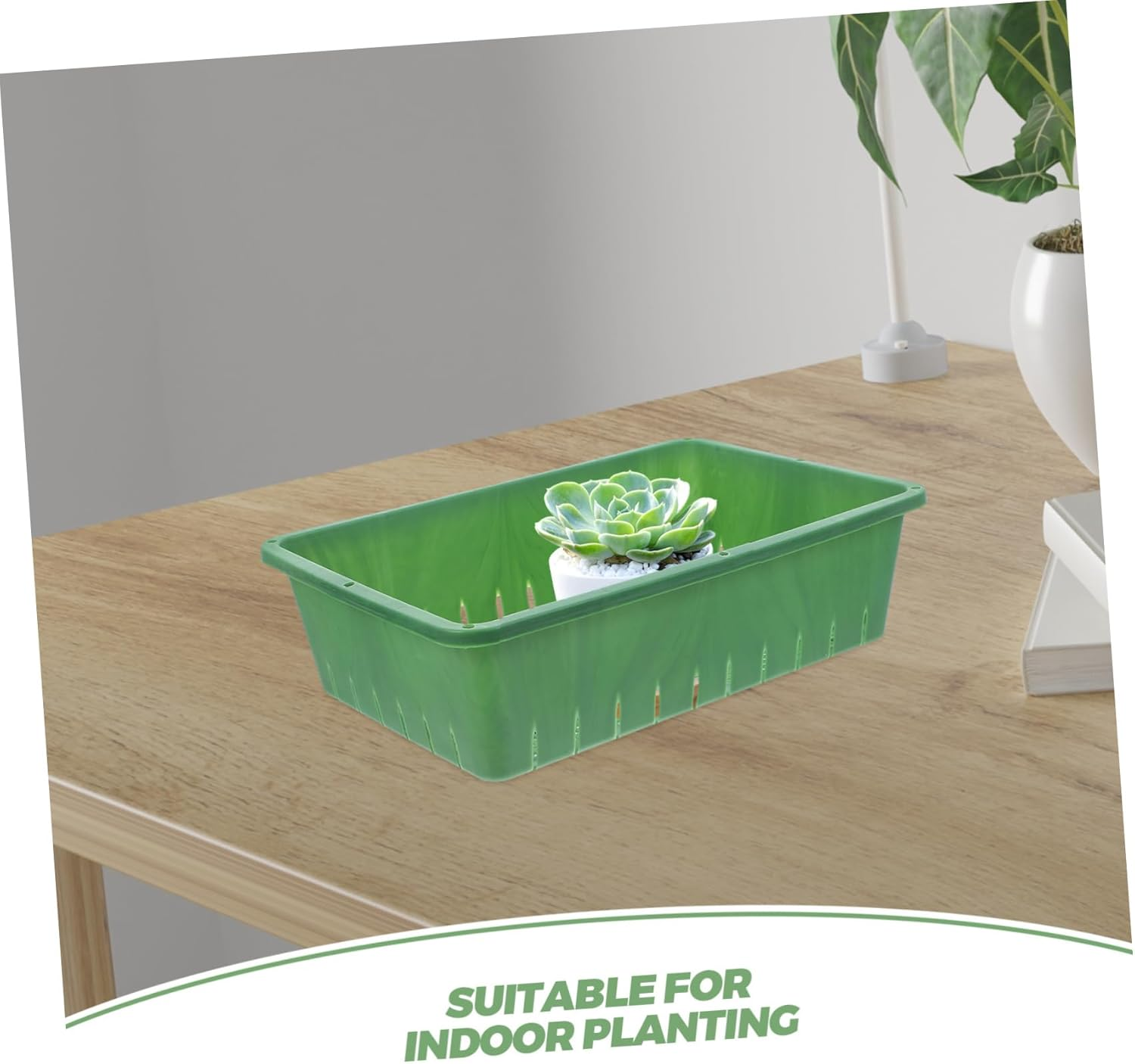 GAROZATION 2 Pcs Plastic Seedling Trays for Indoor Gardening, 26X18X7Cm Small Rectangular Growing Tray Breathable Design for Air Circulation, Garden Plants Starter Germination Plate image number 6