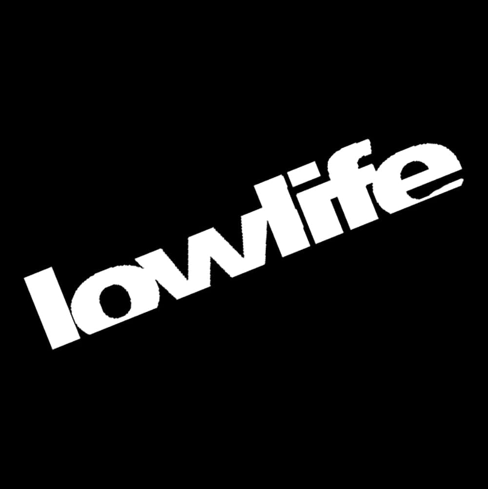 XTRAYXRAY Low Life Windshield Banner Sticker Car Decal Window Bumper Decal Sticker Suitable for Cars, Trucks