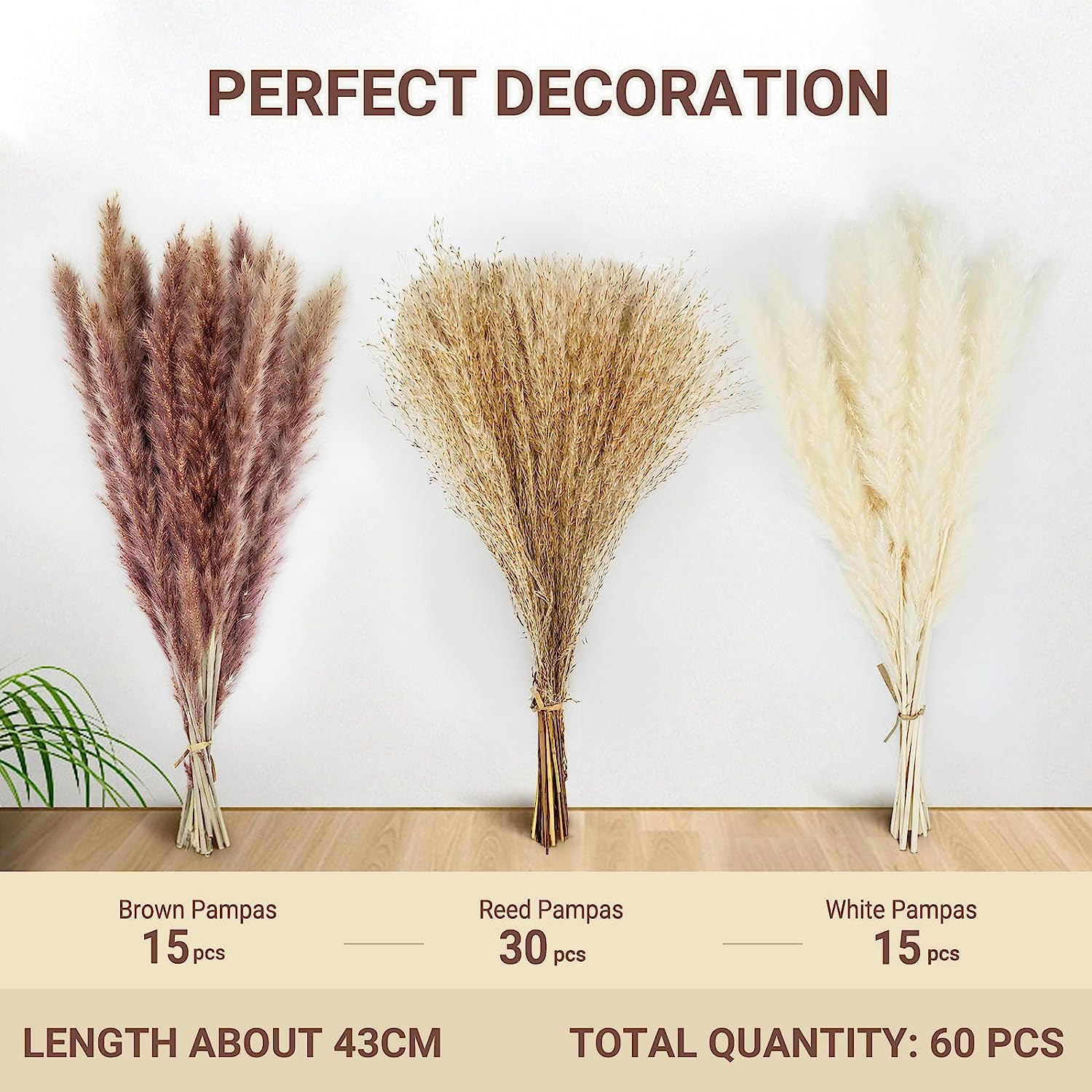 Total 60 Pcs | 15 Pcs White Pampas & 15 Pcs Brown Pampas & 30 Pcs Reed Grass/Natural Dried Pampas Grass for Flower Arrangements Home Decor