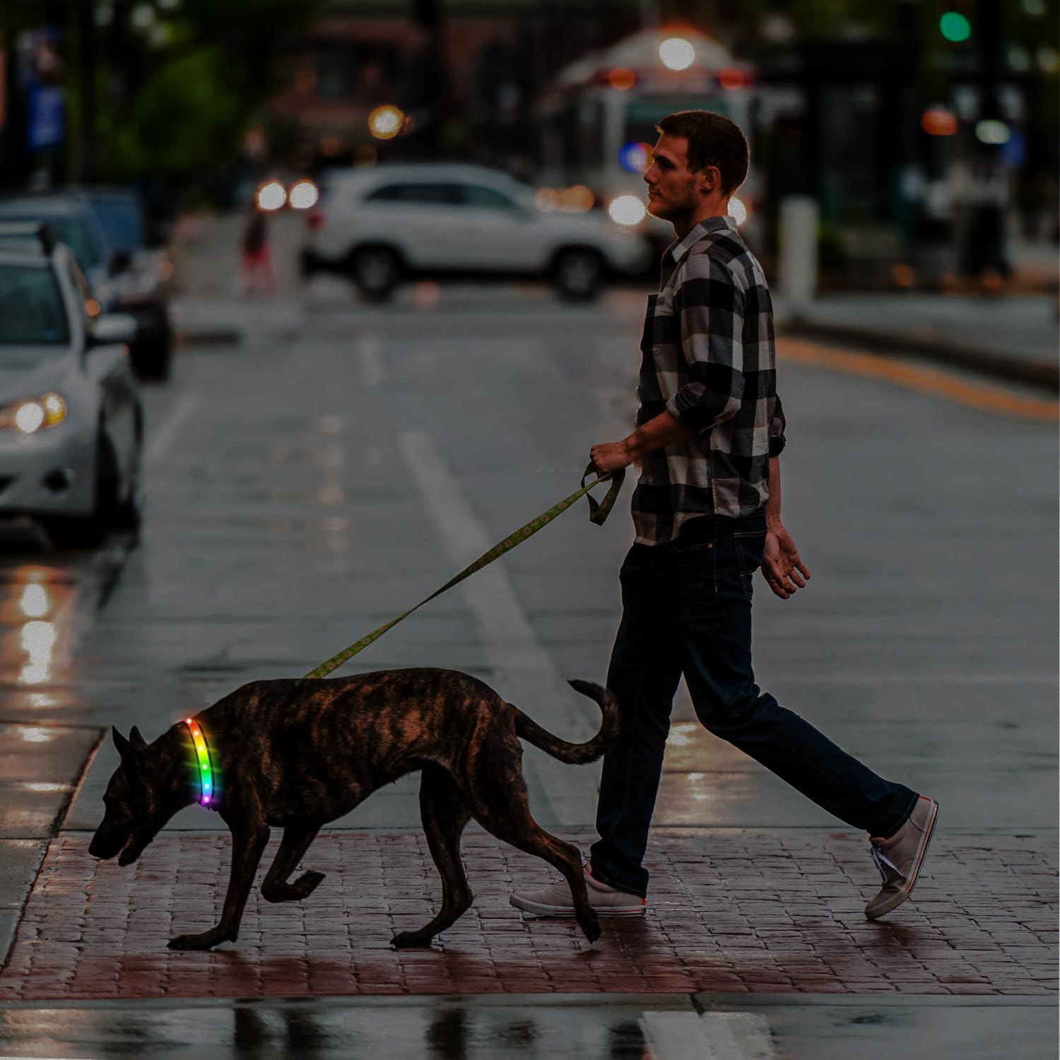 TRIPOLACO Light up Dog Collars, Waterproof Rechargeable Led Dog Collar, Glow in the Dark Dog Collars for Night Walking, Multicolor Lighted Dog Collars for Small Medium Large Dogs - Black, L image number 2