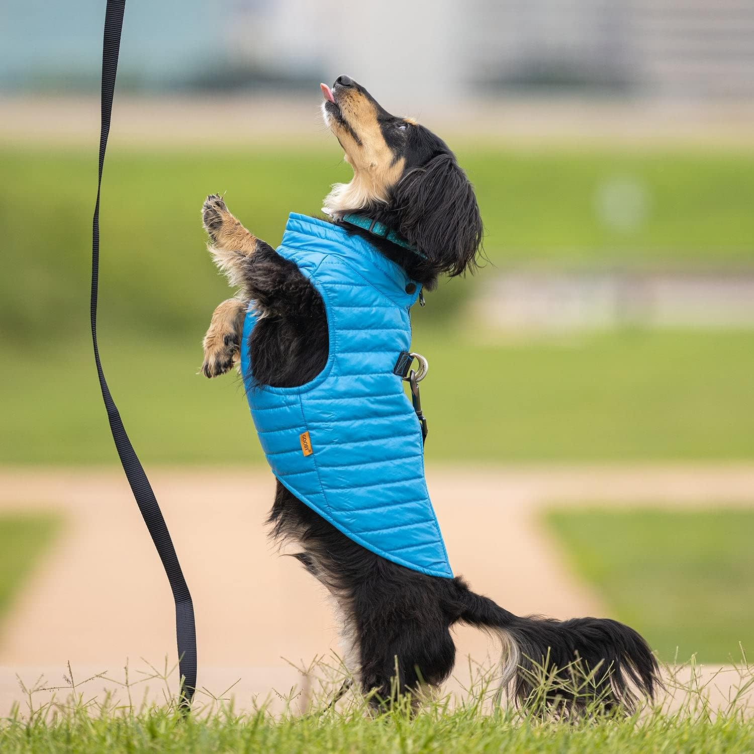 Gooby Puffer Vest Dog Jacket - Blue, Medium - Ultra Thin Zip up Wind Breaker with Dual D Ring Leash Water Resistant for Small to Medium Dogs image number 2