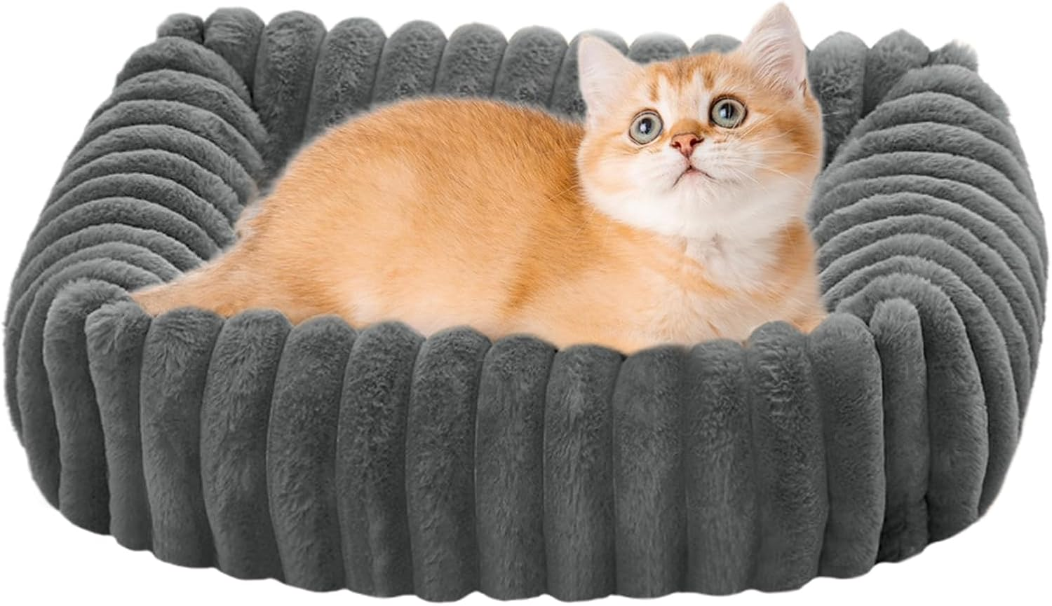 Dog Couch Bed | Washable Plush Cat Bed,Pet Cushion Soft Cat Sofa for Apartment Travel Indoor Outdoor Camping Home Patio Floor Car Daily