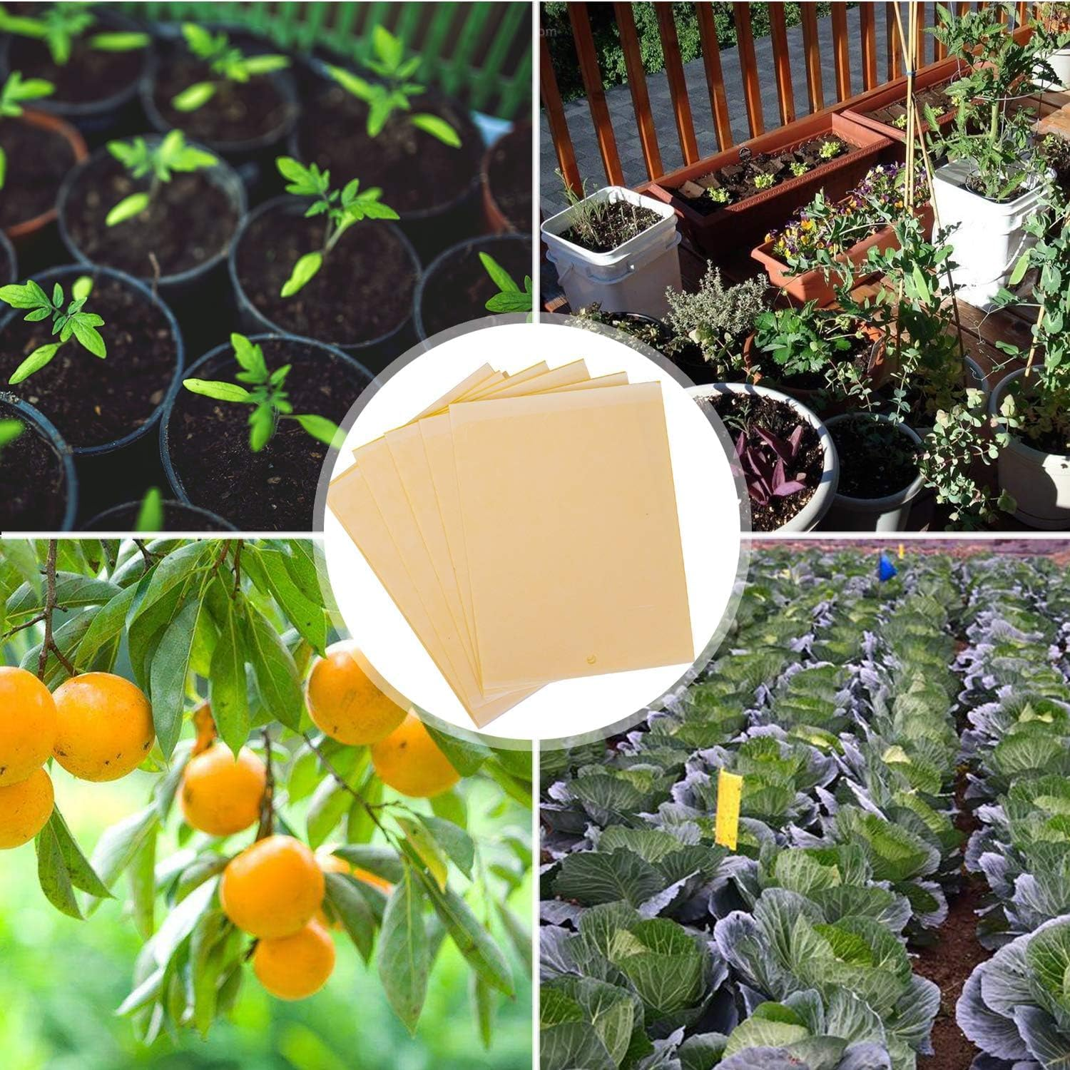 20-Pack Yellow Dual-Sided Sticky Fly Traps for Plant Insect like Fungus Gnats Flying Aphid, Whiteflies, Leafminers, Other Flying Plant Insect image number 5