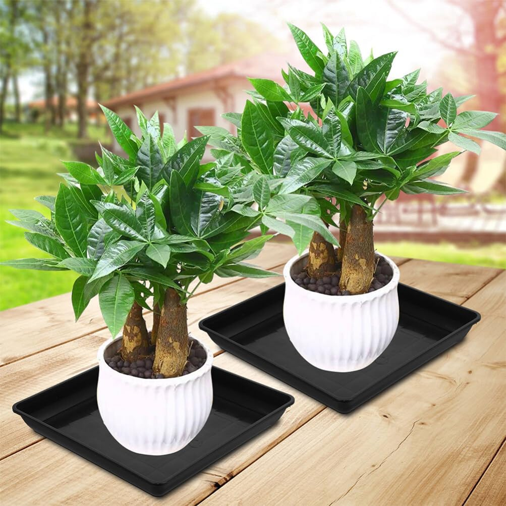 Happyyami 3Pcs Square Plastic Plant Saucers 14 Inch Flower Pot Drip Trays Planter Water Catcher Tray Plant Pot Base for Garden image number 5