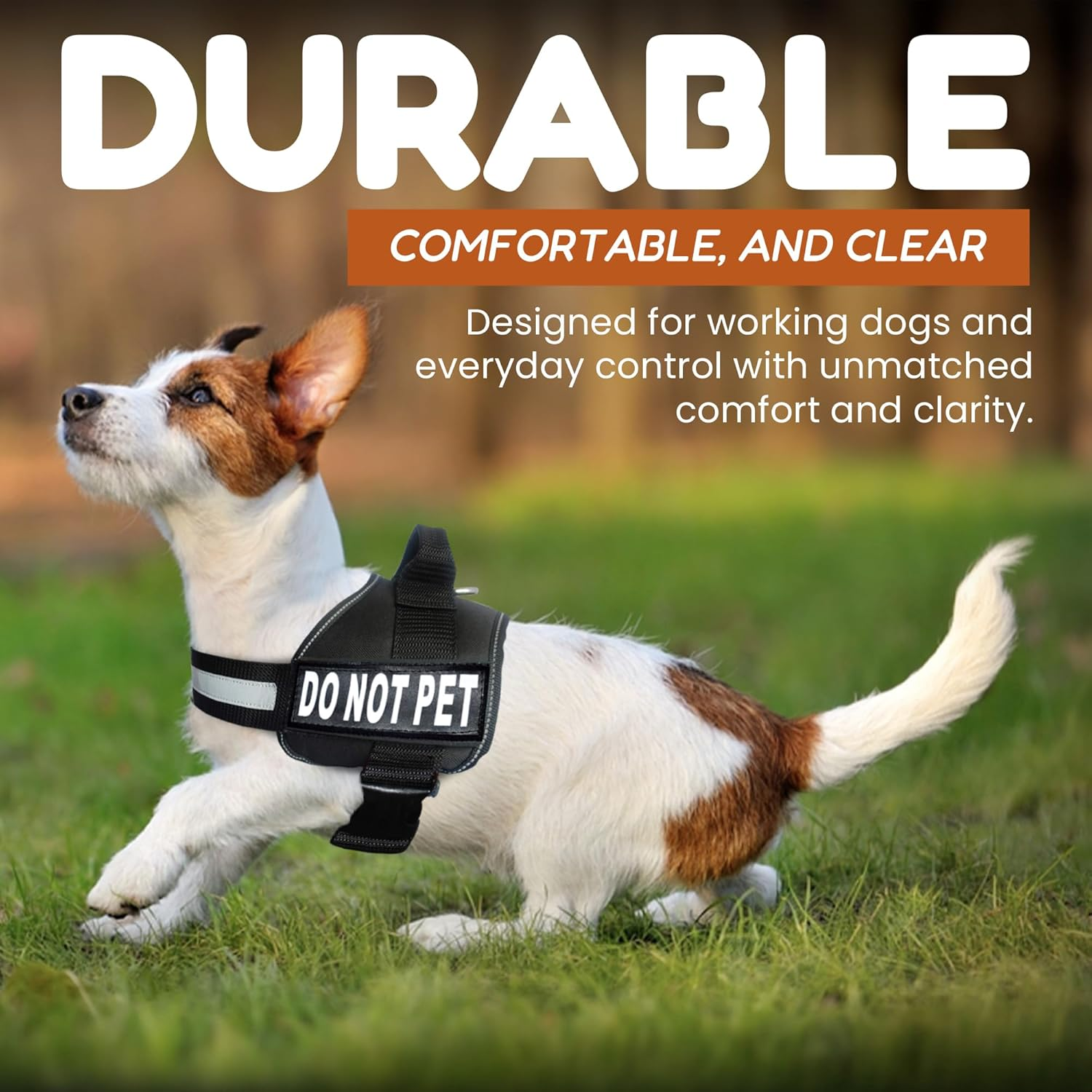 DO NOT PET Dog Vest Harness with Removable Patches and Reflective Trim. Comes with 2 DO NOT PET Reflective Removable Patches. Please Measure Dogs Girth before Purchase image number 2
