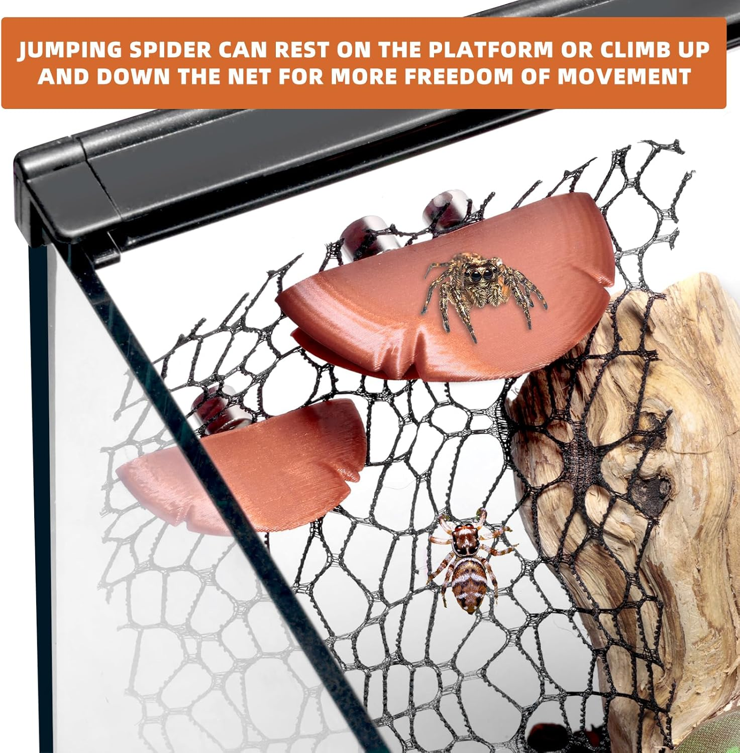 Jumping Spider Hide Habitat Accessories, Brown Jumping Spider Enclosure Mushroom Shelf Magnetically Concealed, Jumping Spider Web with Magnets, Jumping Spider Enclosure Climbing and Feeding Platforms image number 4