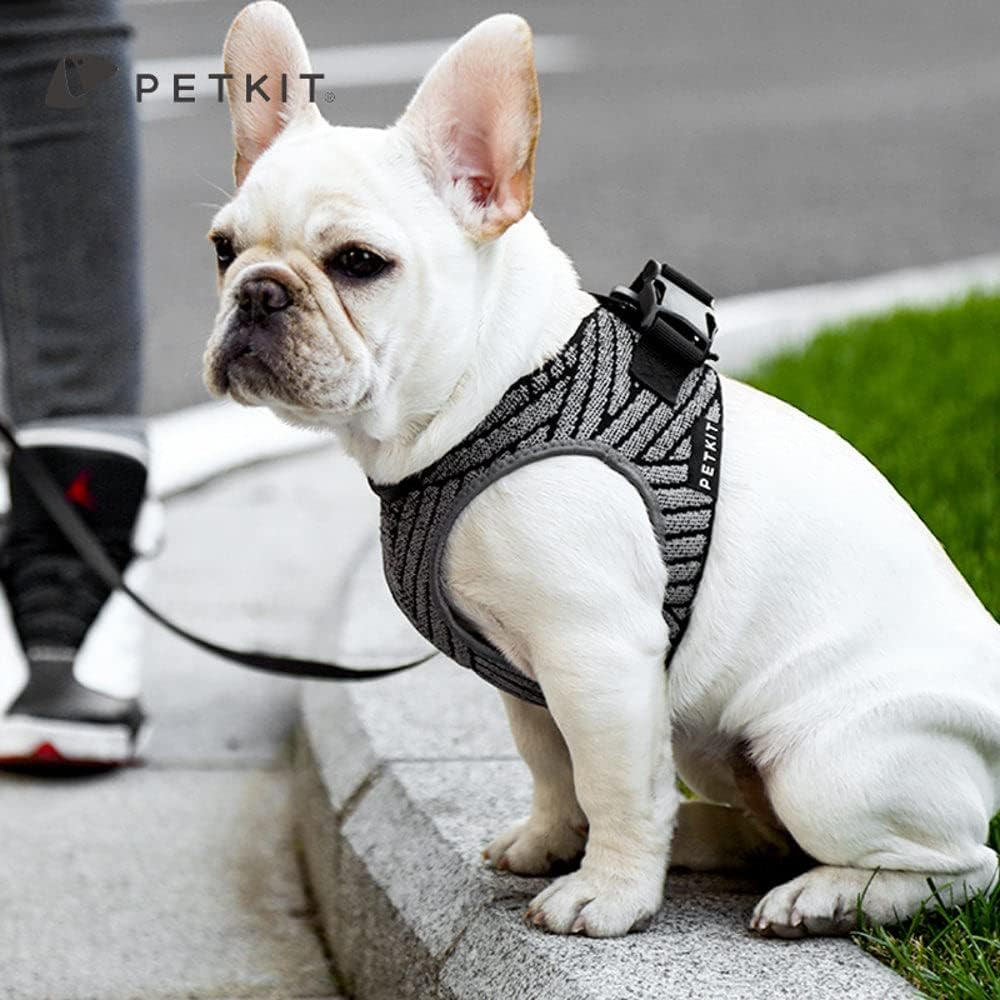 PETKIT Harness Air Fly Large Size Water-Resistant and Breathable Machine Washable image number 5