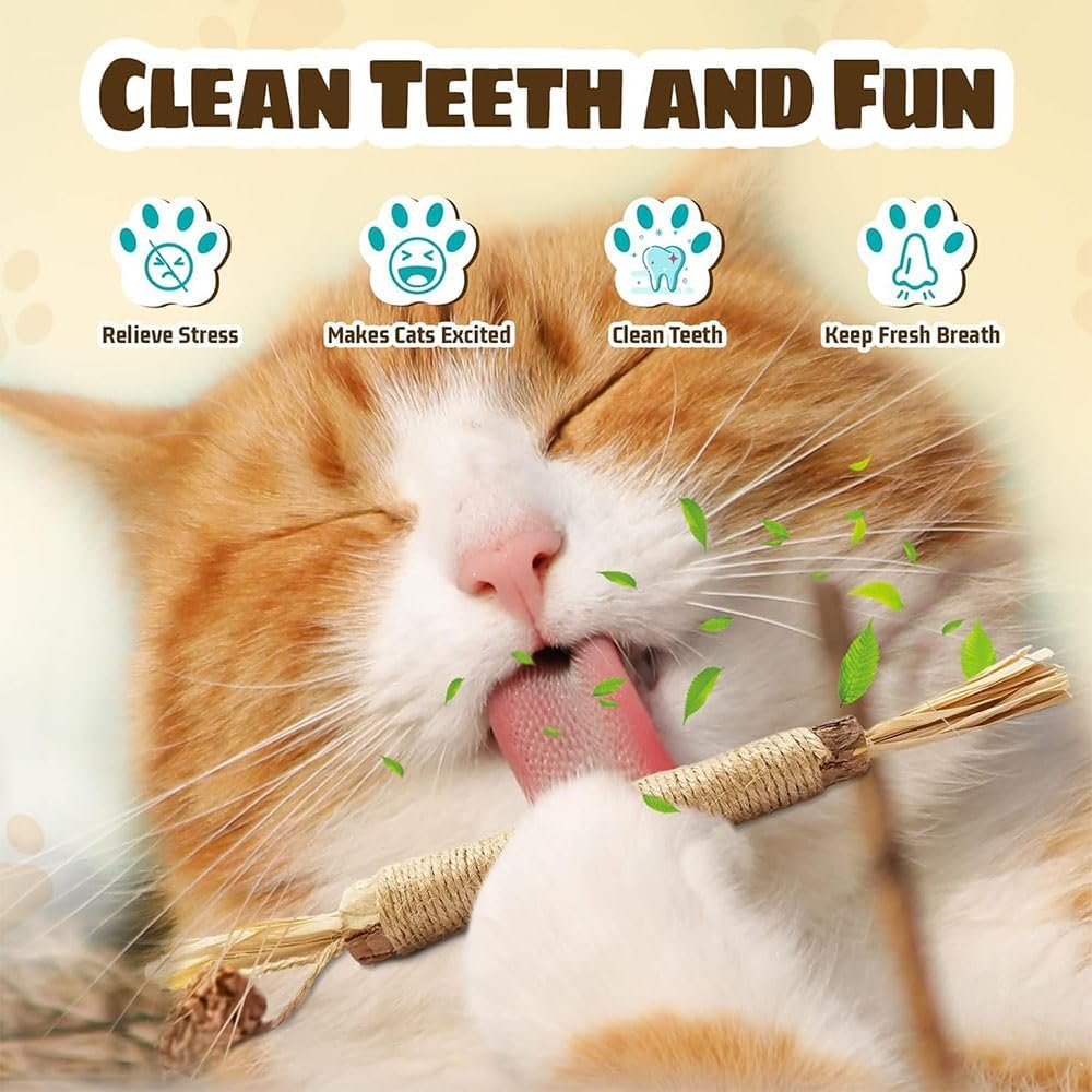 Aufondof 6Pcs Natural Silvervine Sticks, Cat Dental Chew Sticks Cat Toys for Indoor Cats Kitten Teething Toys Teeth Cleaning Toy image number 3