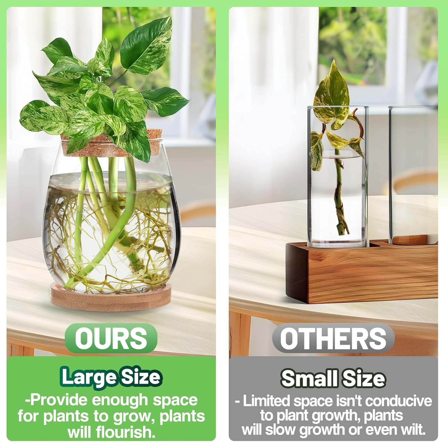 2 Pcs Separated Desktop Plant Terrarium - Plant Propagation Planter Water Station Planting Glass Vase with Lid & Wooden Stand for Growing Hydroponic Home Office Table Decoration image number 1