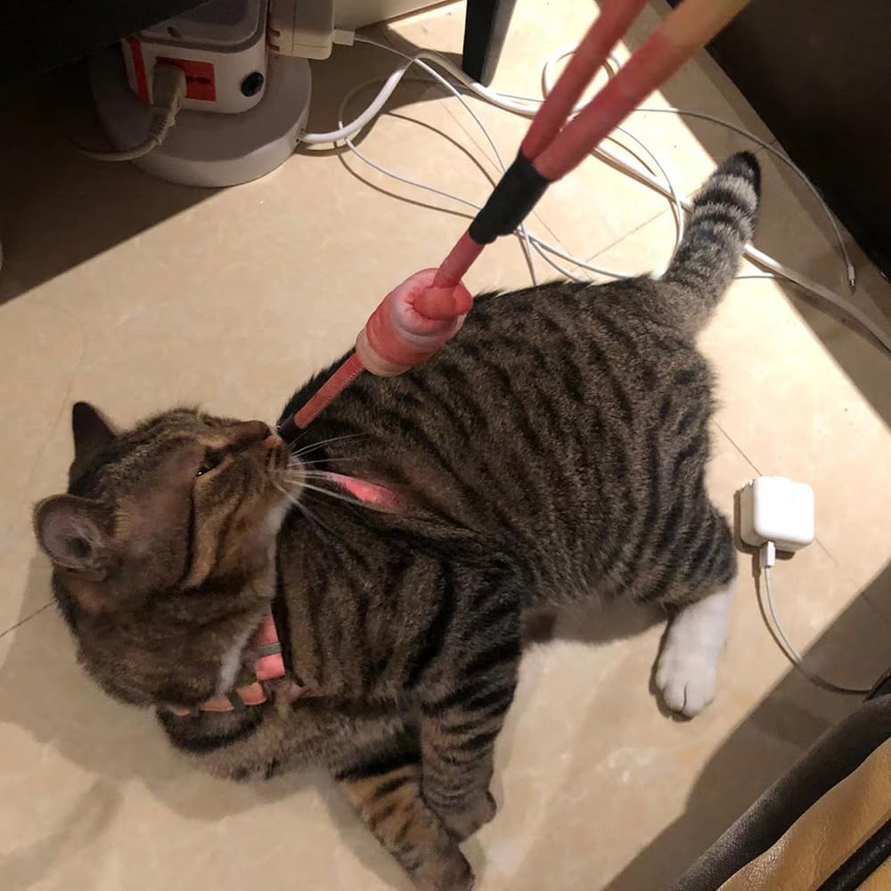 Cat Harness with Lead, Escape Proof Cat Harness Lead, Adjustable Cat Lead with Harness for Small, Medium Cats, Outdoor Walking, Colour Gradient Orange image number 4