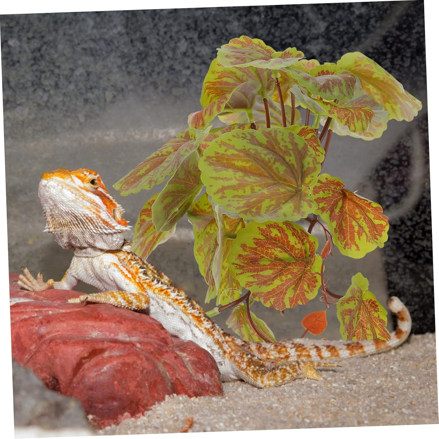 WOONEKY Artificial Aquarium Plant Lifelike Reptile Terrarium Decor with Begonia Leaves Stable Vibrant Plastic Fish Tank Plant for Reptile Tanks and Aquatic Landscapes image number 1
