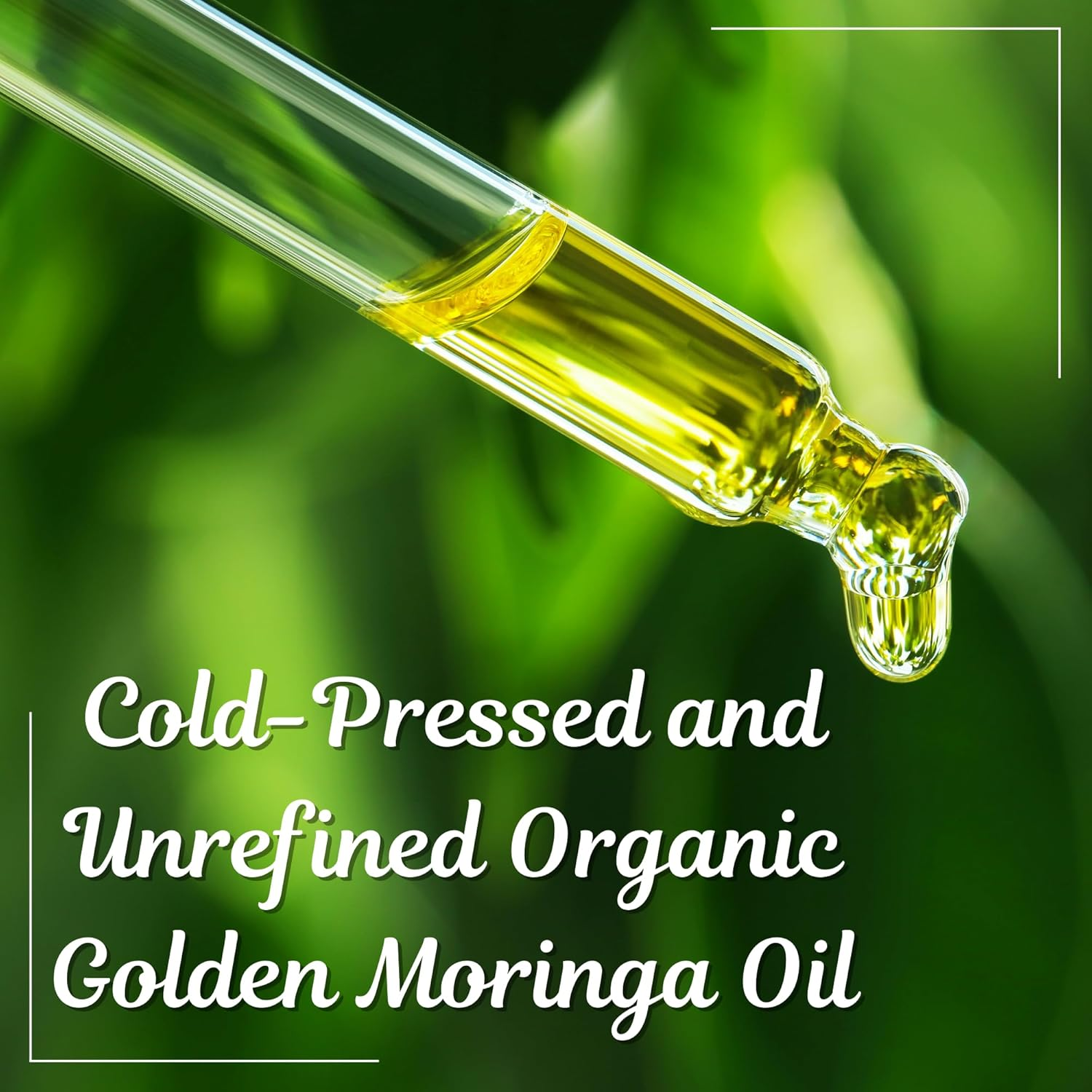 Pure Vivid Organic Moringa Oil &ndash; 100Ml Cold Pressed| 100% Pure | | Natural Carrier Oil for Skin, Hair & DIY Blends | Moringa Oleifera | Glass Dropper Bottle image number 6