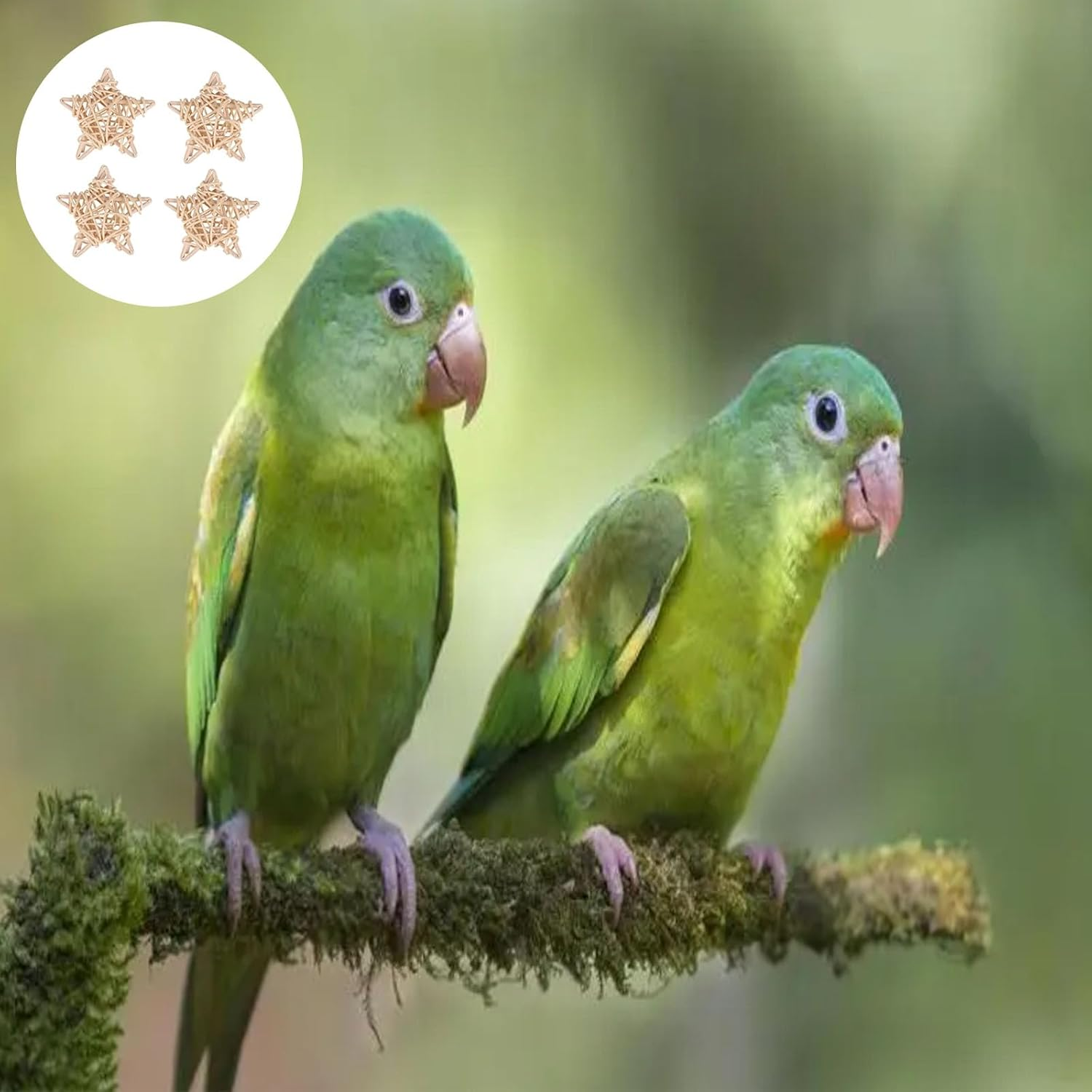 XUTONG 5Pcs Small Animal Chew Toy for Rabbits Bird Pet Chew Toy Tooth Cleaning Toy Wedding Decoration Hamster Carrier Cage image number 1