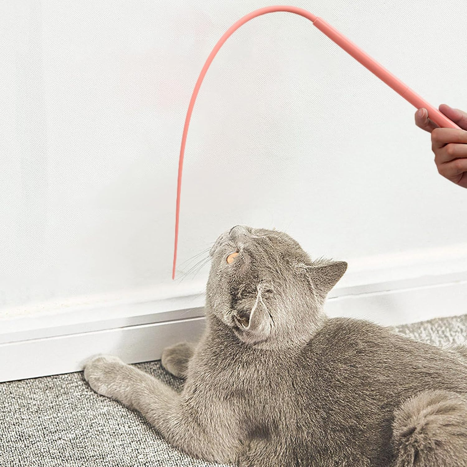 Cat Teaser, Bite-Proof Silicone Cat Wire Toy, 30 Inch Teaser Tail Shape Jumping Cage Indoor Playing Hunting Simulation Home Pet Mental Enrichment Exploring for Feline Fun image number 1