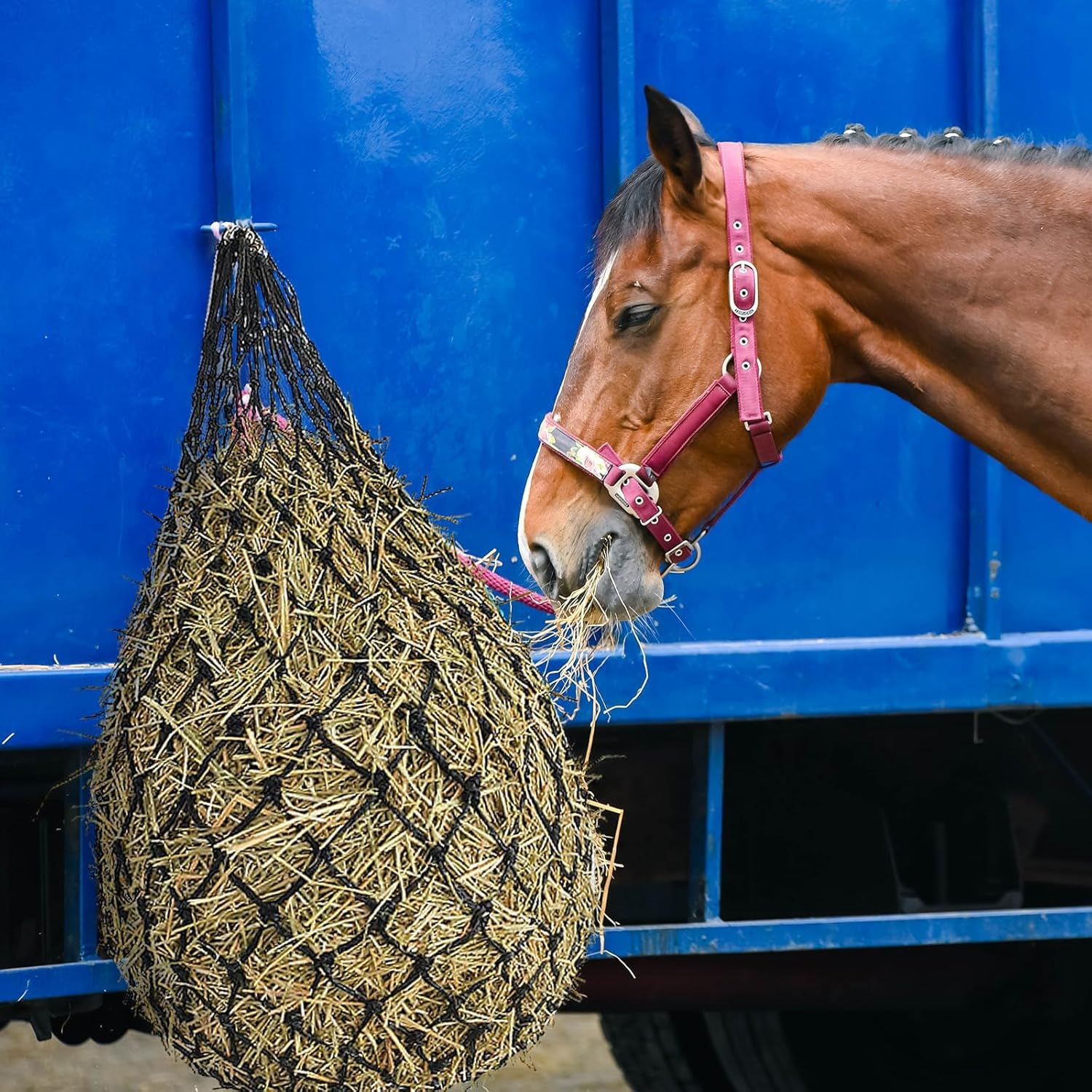 2PCS Hay Bags - 40" Ultra-Slow Feed Hay Net Bag Heavy-Duty Nylon & PE with 4" Holes for Horses, Goats, Sheep, Alpacas - Regulate Hay Intake, Improve Digestion, Hanging Stable Feeder image number 1