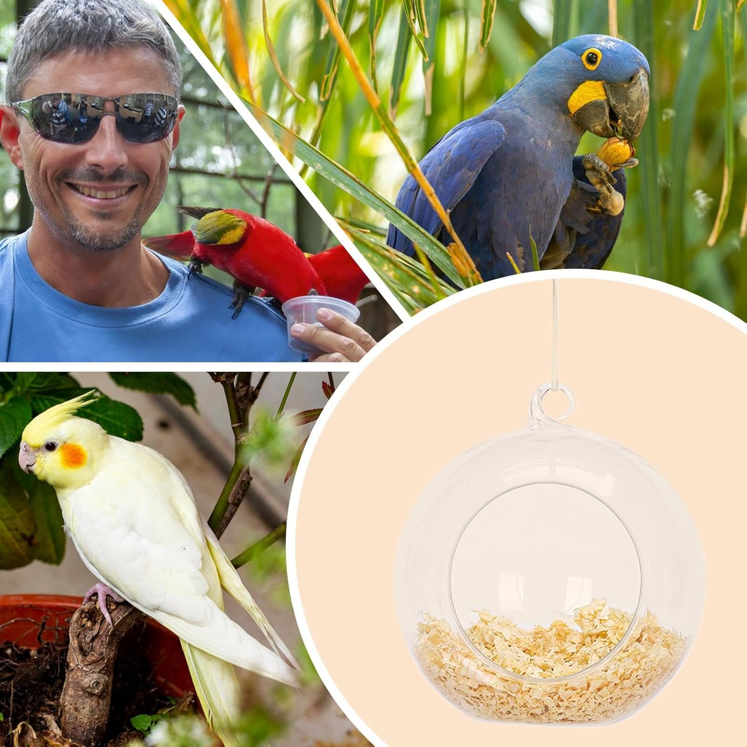 Bird House for Cage | Hangable Parrot House - Hangable round Swing Bed with Wood Chips Clear Washable for Breeding Canary Parakeet Finch Outdoor Garden Tree image number 4