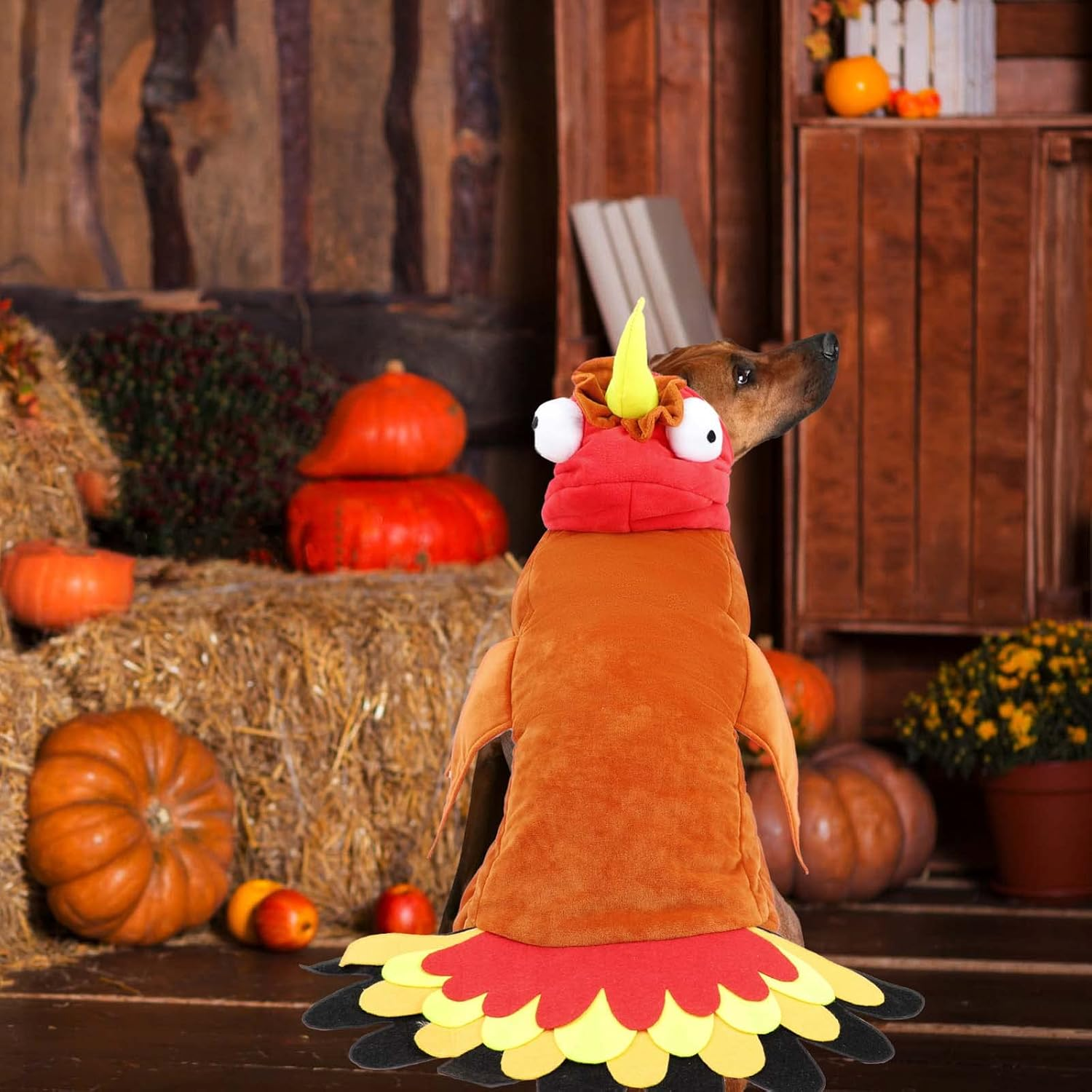 BWOGUE Large Dog Turkey Costume,Dog Thanksgiving Costume Winter Warm Pet Clothes Apparel for Thanksgiving Cosplay Dress up Fit for Medium to Large Dogs image number 2