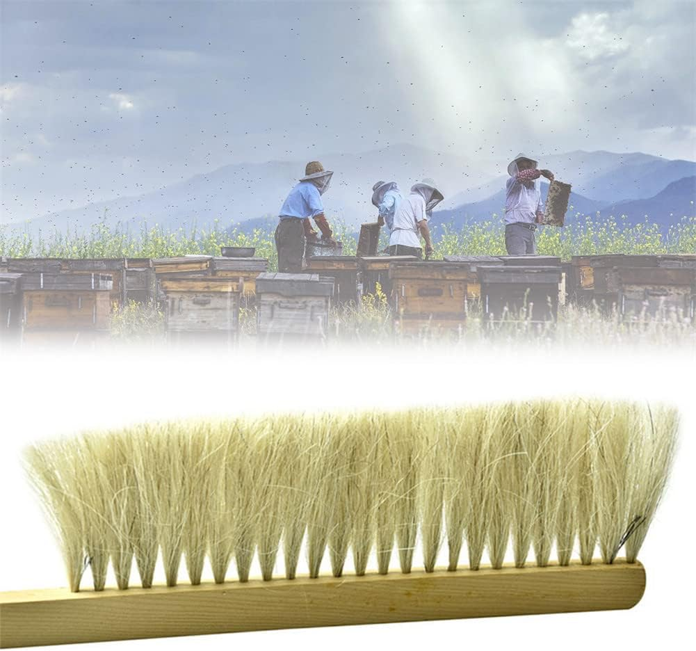 Beekeeping Brush, Wooden Handle Brush Beekeeper Tool, Practical Beekeeping Accessory for Beginners and Professional