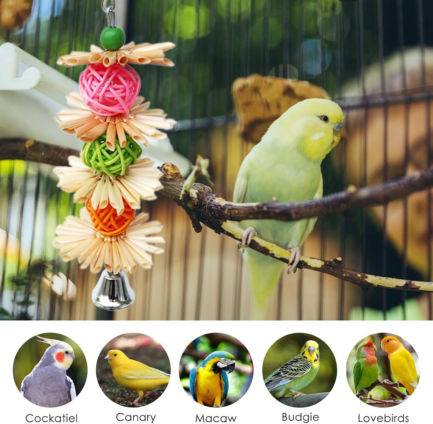 Parrot Feeding Toys - Small Parrot Toys, Cockatiel Toys, Colorful Cockatiels with Metal Hooks, Attach to Places Easy to Install in Seconds Disconnect Toy, Bird Cage Decor Various Bird Eaves image number 1