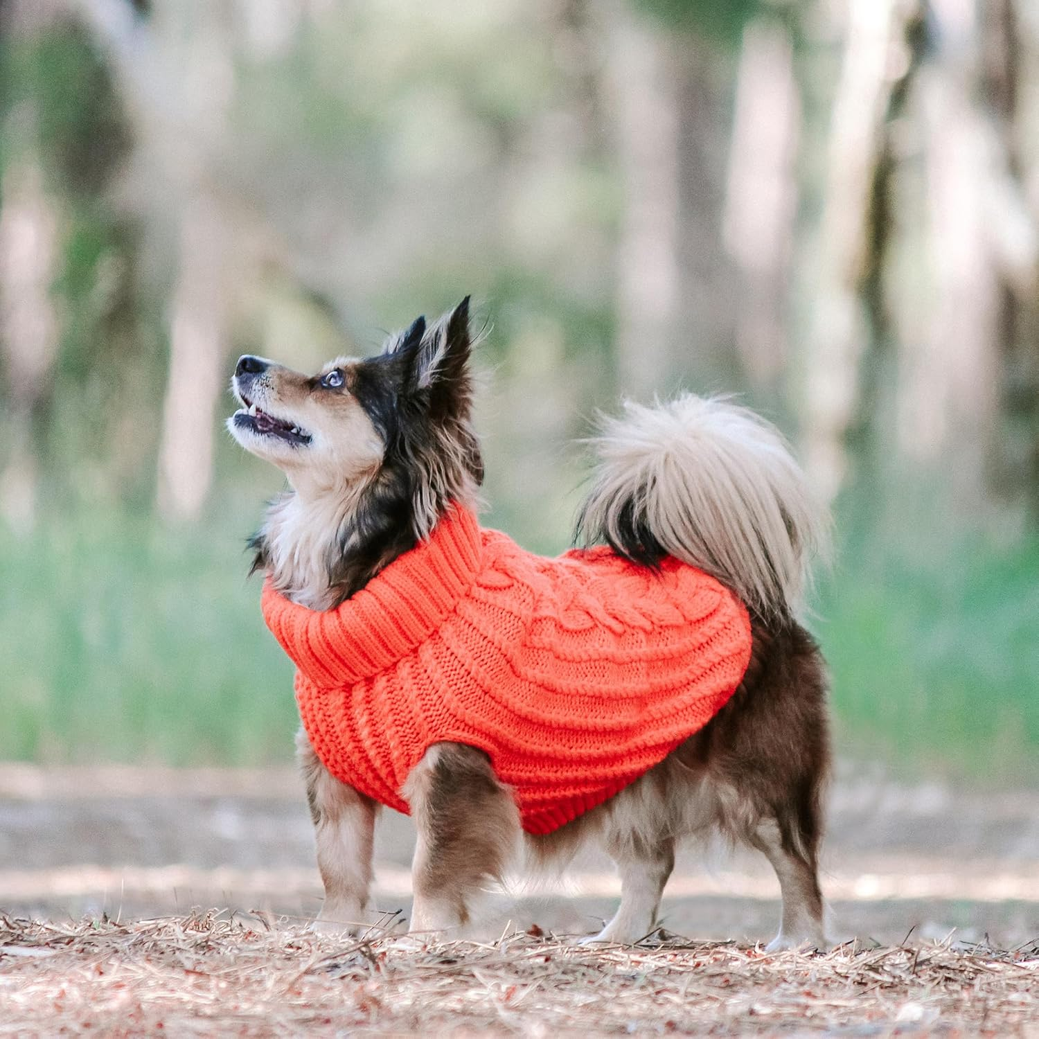 Huskimo Cali Knit Dog Jumper, Tangerine, 27Cm image number 2