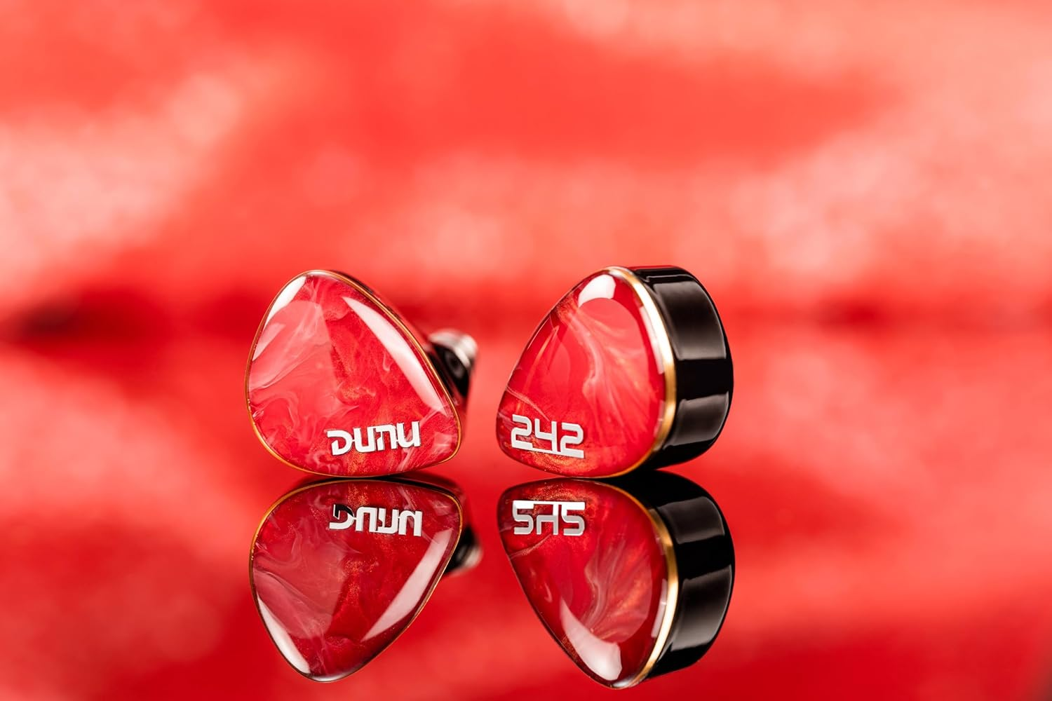 DN 242 image number 3