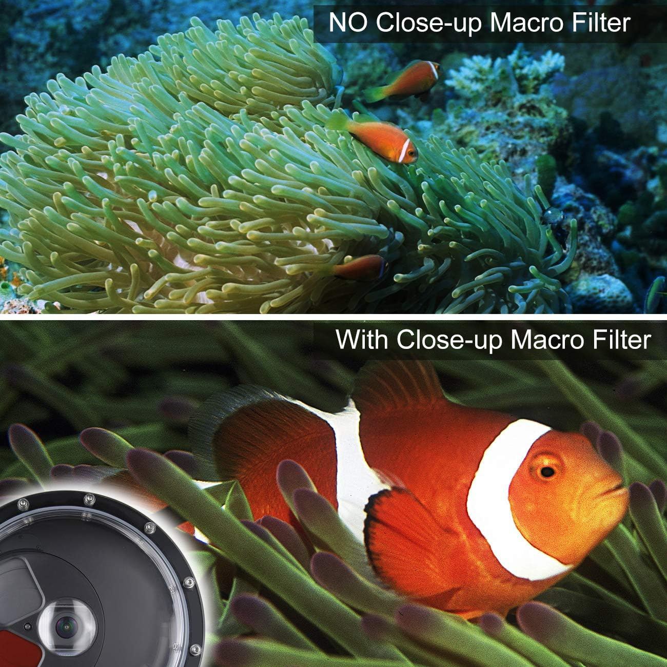 SOONSUN Dome Port for Gopro Hero 9 10 11 12 13 Black, Underwater Dome Lens with Waterproof Housing Case Built-In Switchable Red Filter, 10X Close-Up Macro Filter and Standard Mode image number 1