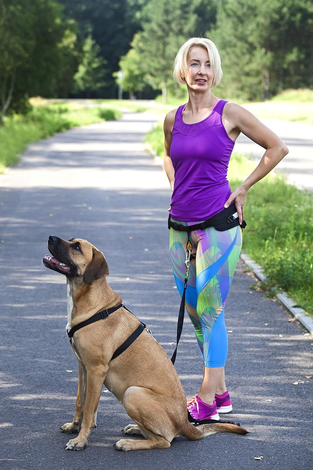 DINGO Canicross Belt 4-In-1 Universal, Adjustable, Safe, Reflective, Multifunctional, Hands-Free Dog Walking Belt for Running, Sports, Jogging, Training, Black (12780-2) image number 4