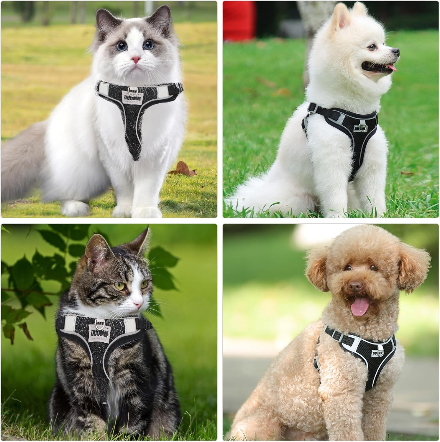 Cat Harness with Lead, Escape Proof, Adjustable Cat Harness, Escape Proof, Soft and Breathable Mesh, Cat Lead Harness for Cats and Small Dogs, Outdoor Training image number 1