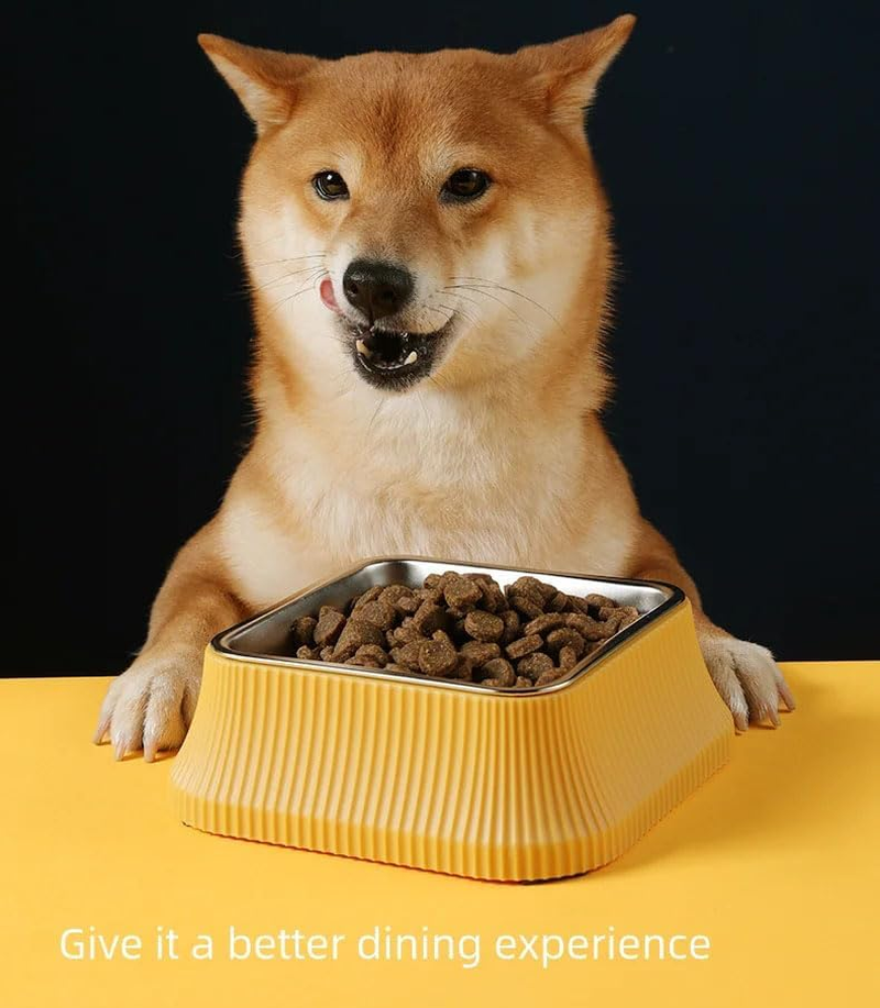 Stainless Steel Dog Water Bowl, Dog Bowl with Non-Slip Rubber Strips, Dog Feeding Bowl, Small Dog Bowl, Metal Dog Bowls, Pet Bowls for Cats and Dogs image number 3