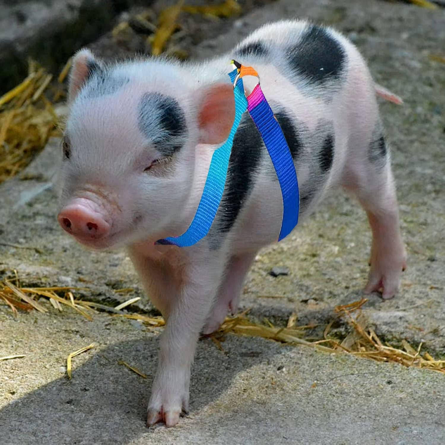 Woyous 2 Pieces Adjustable Pig Harness with Leash Set Pet Pig Supplies Harness with Leash Set for for Hog Piggy Rabbit Small Animals Walking Jogging (S, Multicolor) image number 3