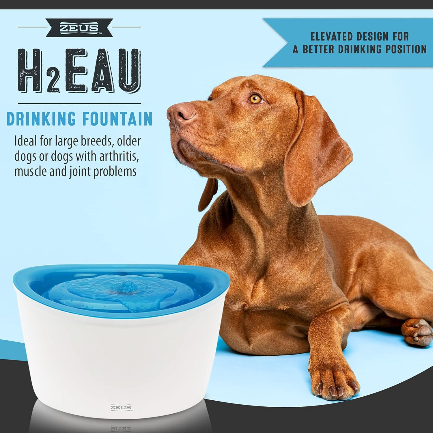 Zeus Fresh & Clear Elevated Dog and Cat Water Dispenser, Large Drinking Water Fountain with Purifying Filter, 6L Capacity image number 3