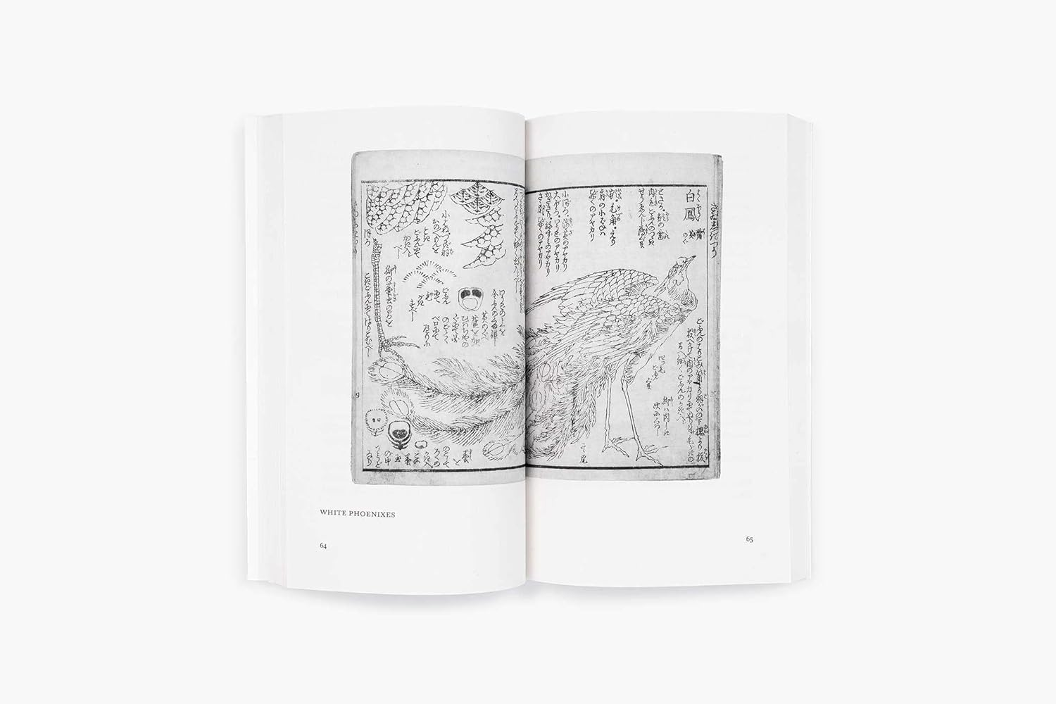 Mad about Painting image number 4