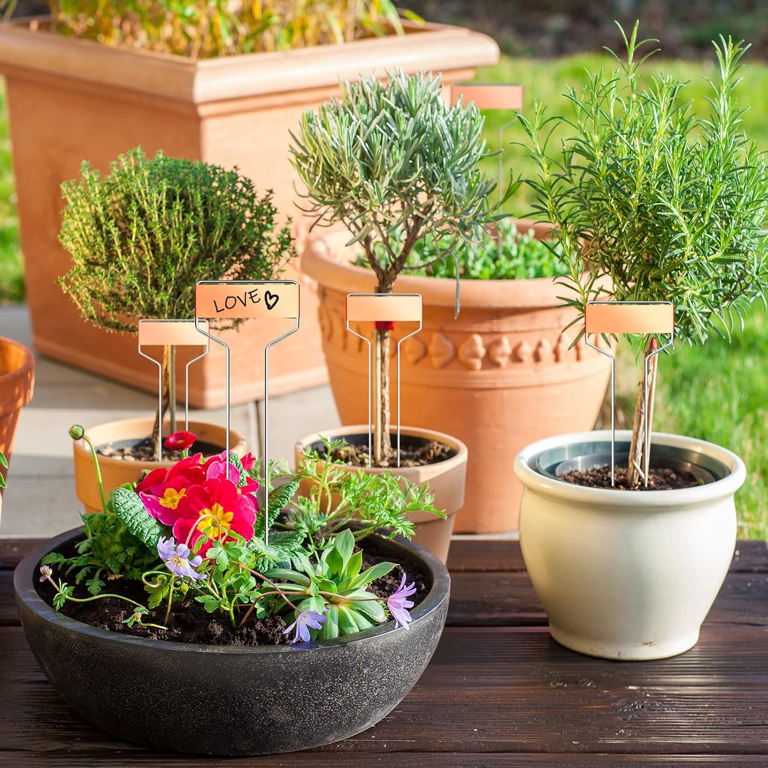 60 Pieces Copper Metal Garden Tags Rose Gold Plant Labels for Outdoor Garden Waterproof Plant Markers with 2 Permanent Pen Planting Nursery Garden Tags Reusable Garden Labels Stake for Plants Seedling