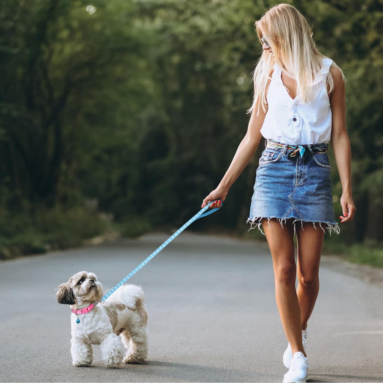 3 Pack Puppy Collar and Leash Dog Collar and Leash for Small Dogs Pet Cat Kitten Collar and Leashes Adjustable Training Rope Quick Release Paw Print Soft Nylon Pet Collar