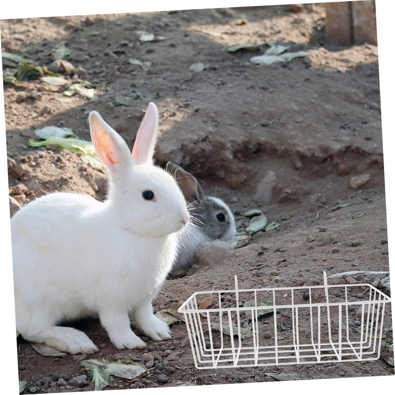 2Pcs Rabbit Feeding Hamster Accessories Ferret Accessories Chinchilla Bunny Grass Holder Chinchilla Feeder Ferret Feeder Holder for Rabbits Rack for Rabbits White image number 2