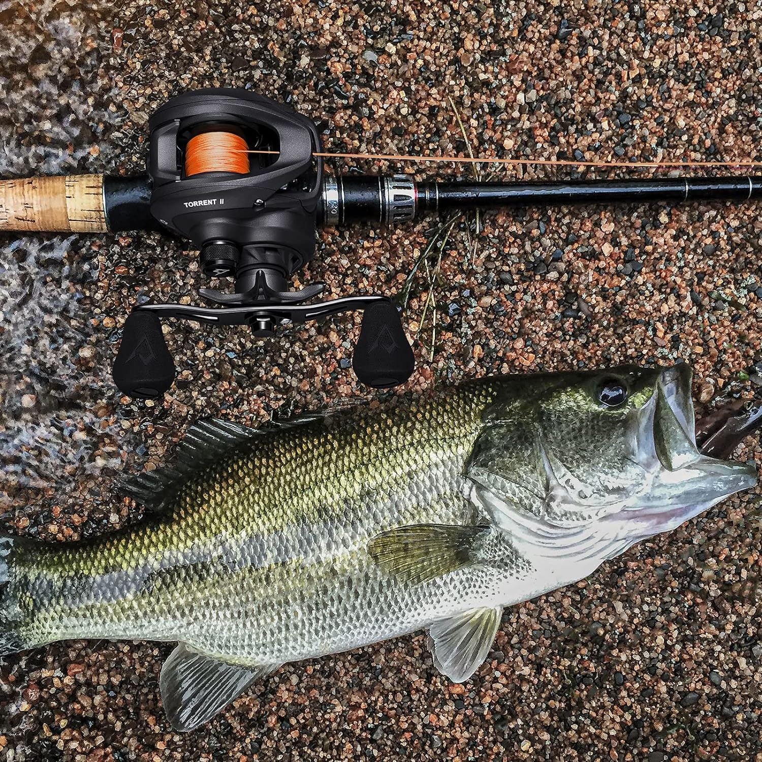 Piscifun Torrent II Baitcasting Fishing Reel, 20LB Carbon Fiber Drag Baitcasters, 6.6:1/8.1:1 Gear Ratio & Magnet Braking System Low Profile Casting Reel, Left/Right Handed image number 6