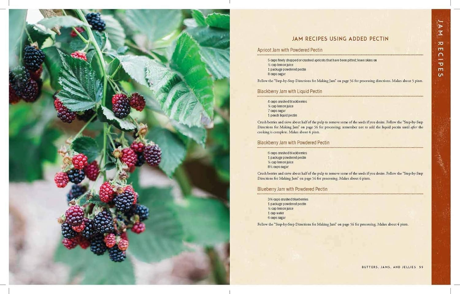 The Homestead Canning Cookbook: -Simple, Safe Instructions from a Certified Master Food Preserver -Over 150 Delicious, Homemade Recipes -Practical Help to Create a Sustainable Lifestyle image number 2