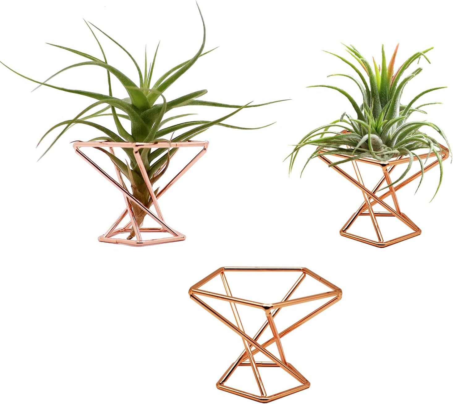 Pack 5 Gold Air Plant Holder Air Plants Holders Tillandsias Display Air Purifying Plant Container Air Fern Stand Geometric Decor for House, Wedding Party