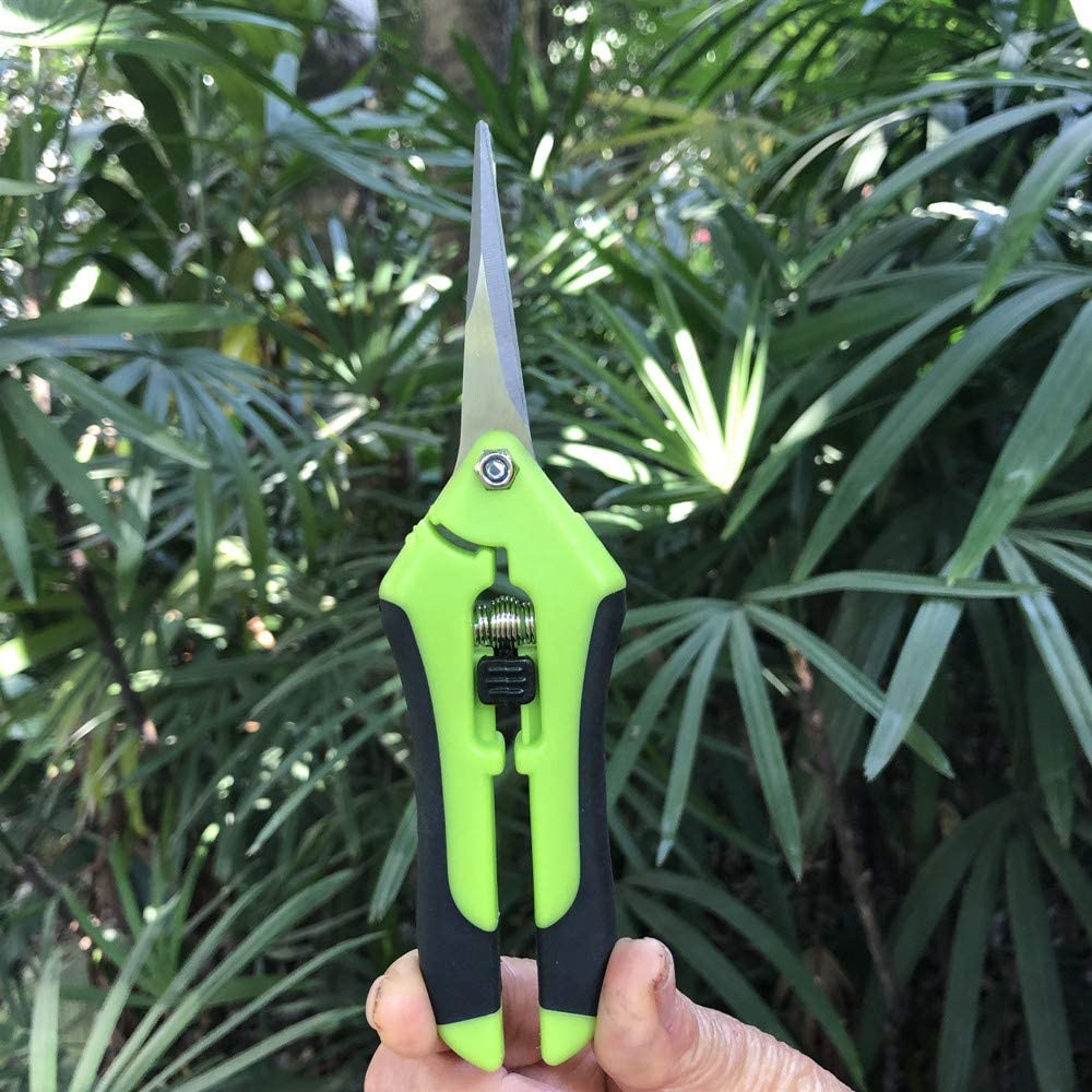 2PCS Hand Pruner Pruning Plant Shears with Straight Stainless Steel Blades for Gardening image number 1