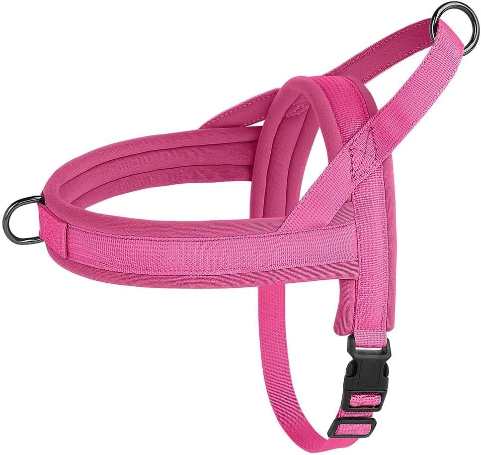 Durable Nylon Dog Harness Soft Comfortable No Pull Small and Medium Dog Harness Adjustable Pet Harness for Chihuahua Pug French Bulldog,E,S