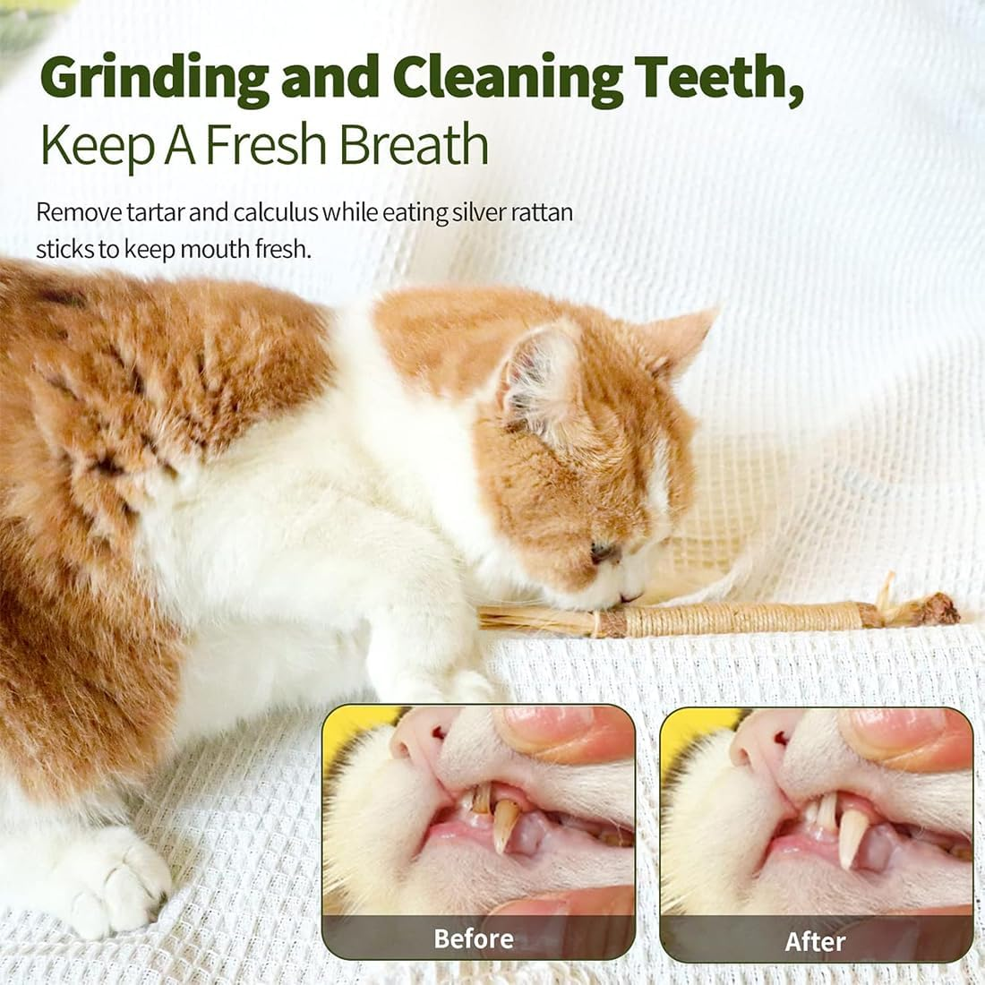 Catnip Sticks, Chew Sticks for Cats, Cats Dental Care Toy, Dental Chew Sticks Help with Tartar & Bad Breath Healthy Hygiene Dental Care (Pack of 6) image number 5