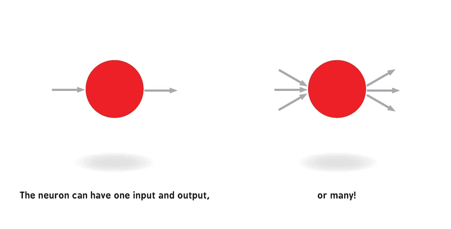 Neural Networks for Babies image number 2