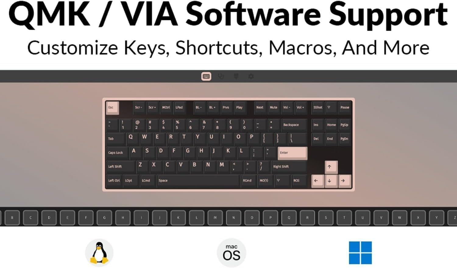 Keychron C3 Pro QMK/VIA Custom Mechanical Keyboard, Hot Swappable Programmable 87 Keys Compact TKL Layout Gasket Mount, RGB Backlight Wired Gaming Keyboard with Brown Switches for Mac/Windows/Linux - Brown Switch image number 4